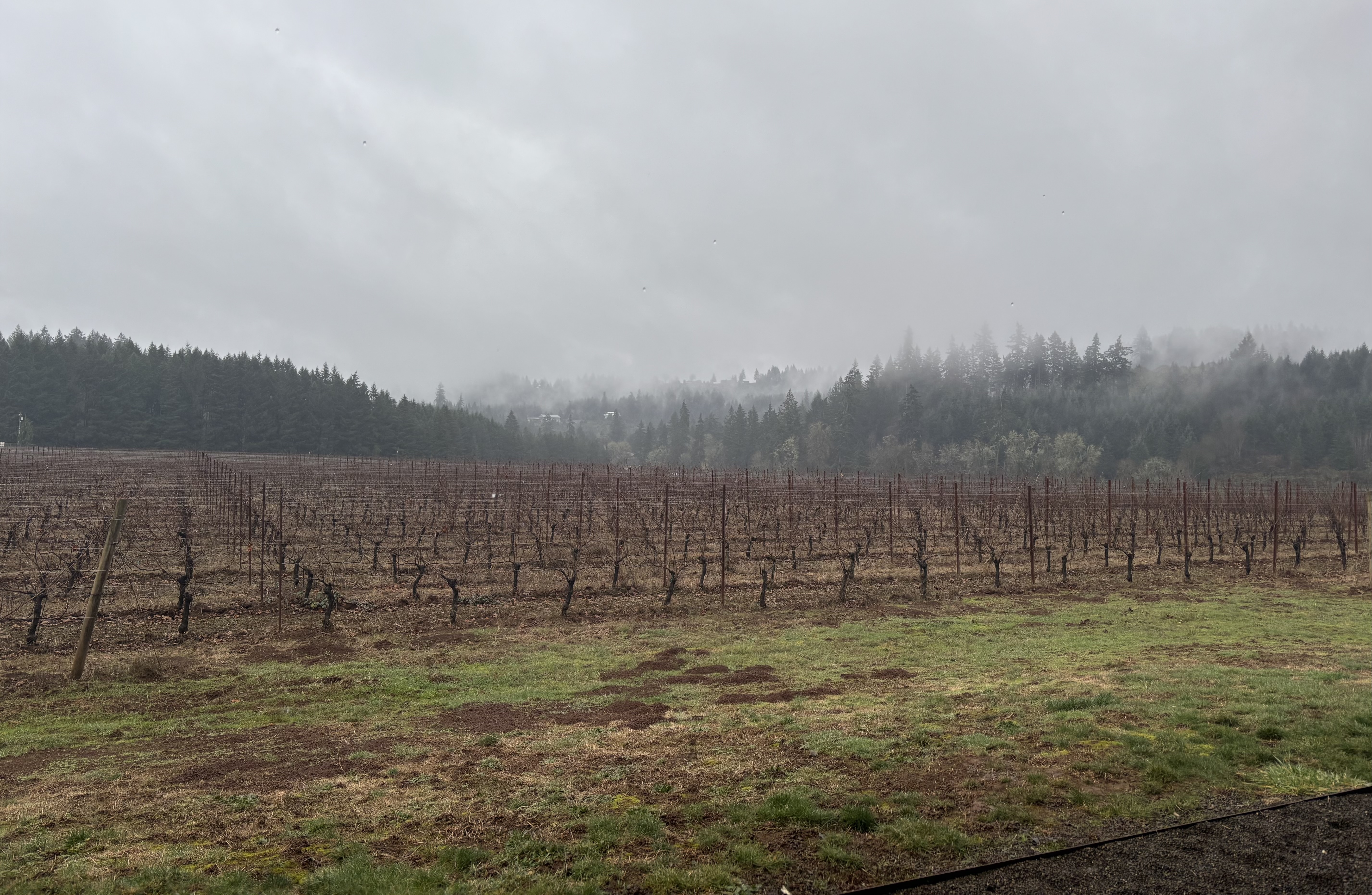 Guide to a Willamette Valley Day Trip